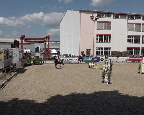 Reitturnier Sulgen 2025