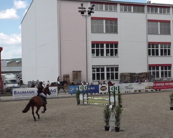 Reitturnier Sulgen 2025