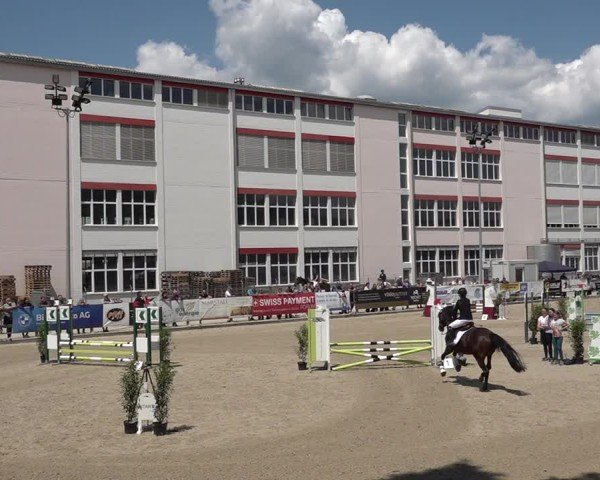 Reitturnier Sulgen 2025
