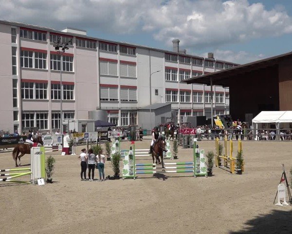 Reitturnier Sulgen 2025