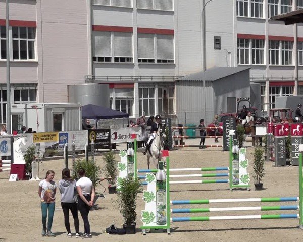 Reitturnier Sulgen 2025