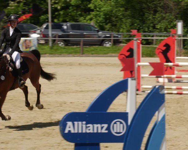 Reitturnier Winnenden 2025