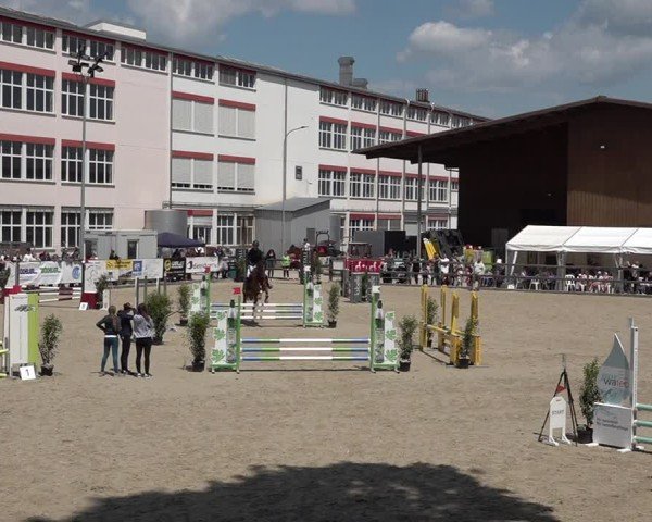 Reitturnier Sulgen 2025