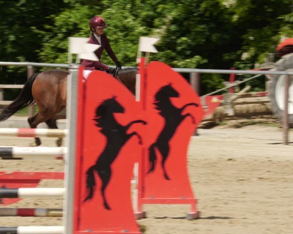 Reitturnier Winnenden 2025