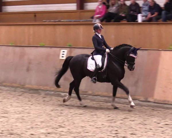 Reitturnier Risum-Lindholm 2025