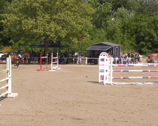 Reitturnier Heiligenwald 2025