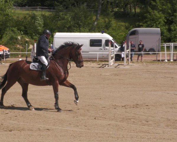 Reitturnier Heiligenwald 2025