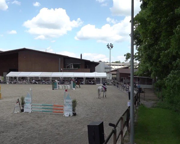 Reitturnier Sulgen 2025
