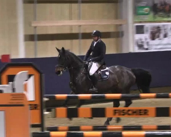 Hallenspringturnier Weilheim/Teck 2014