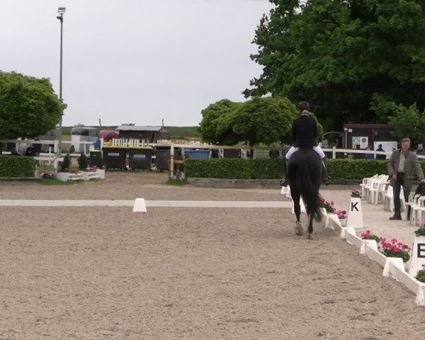 Reitturnier Müncheberg 2025