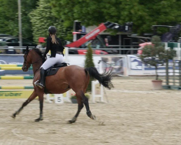 Reitturnier Winnenden 2025