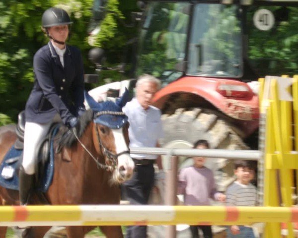 Reitturnier Winnenden 2025