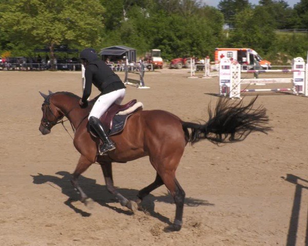 Reitturnier Heiligenwald 2025