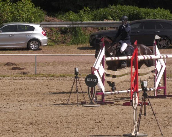 Reitturnier Heiligenwald 2025