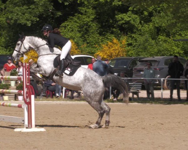 Reitturnier Heiligenwald 2025