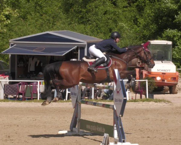 Reitturnier Heiligenwald 2025