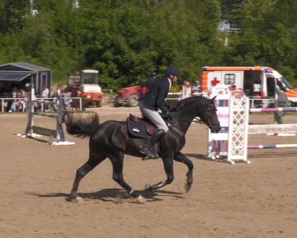 Reitturnier Heiligenwald 2025