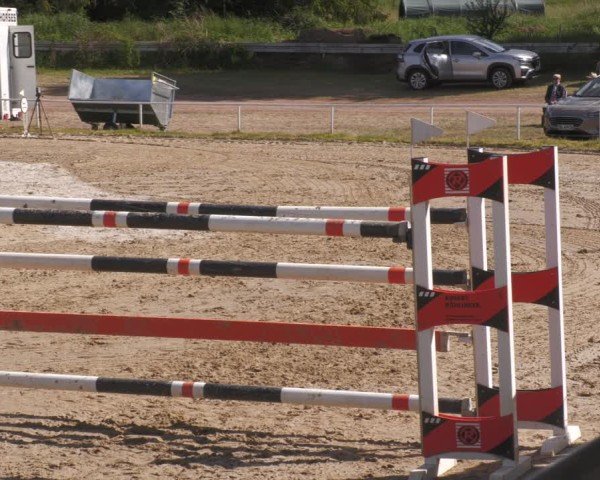 Reitturnier Heiligenwald 2025