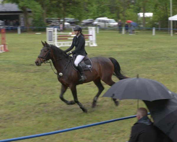 Reitturnier Massen 2025
