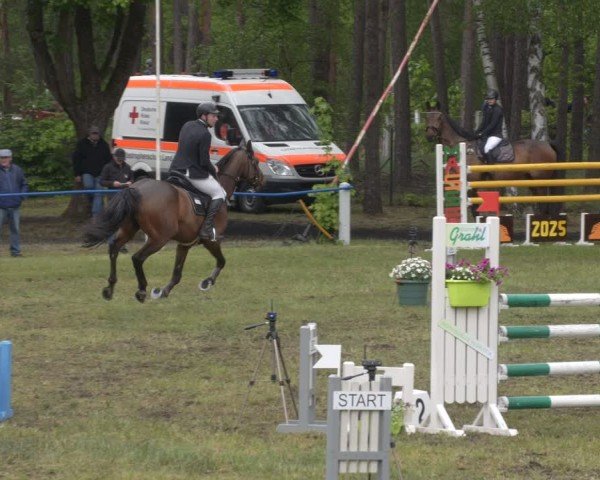 Reitturnier Massen 2025