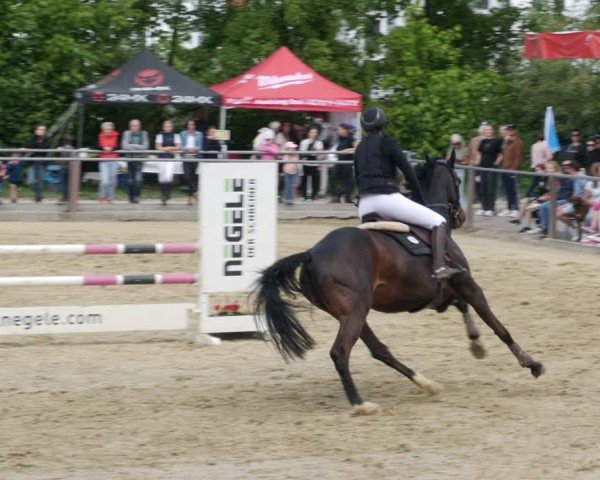 Reitturnier Winnenden 2025