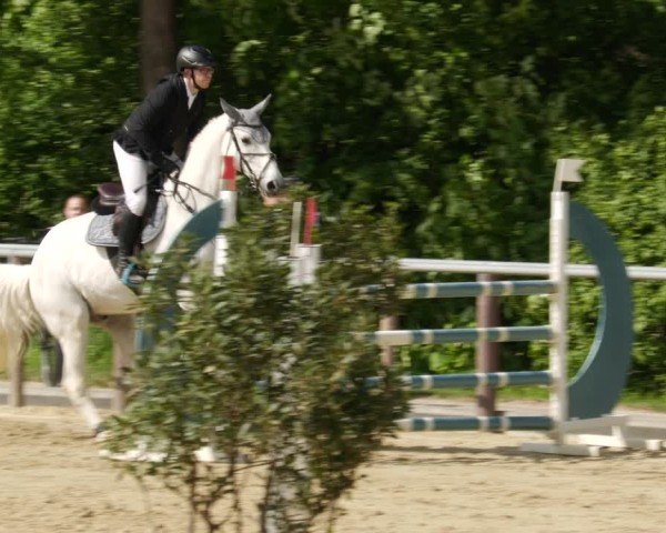 Reitturnier Winnenden 2025
