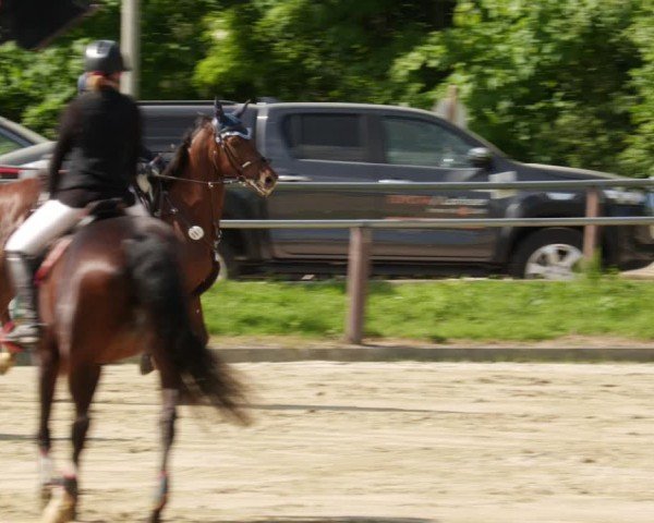 Reitturnier Winnenden 2025