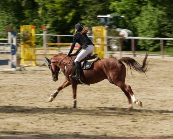 Reitturnier Winnenden 2025