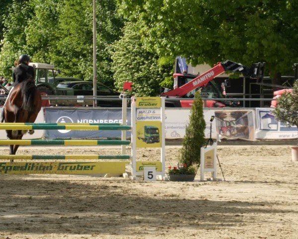 Reitturnier Winnenden 2025