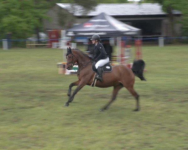 Reitturnier Massen 2025
