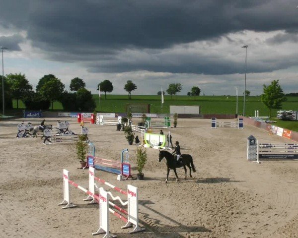 Reitturnier Harsum-Hüddessum 2025