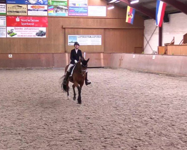 Reitturnier Risum-Lindholm 2025