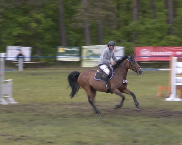 Reitturnier Massen 2025