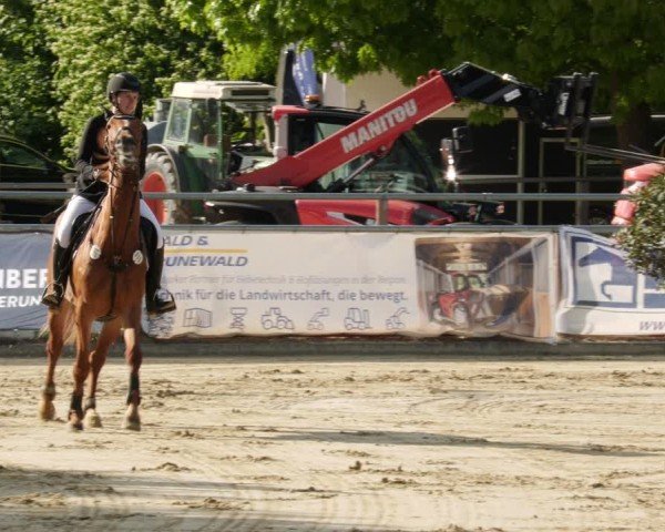 Reitturnier Winnenden 2025