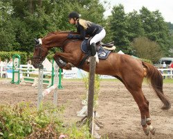 broodmare Copacabana 41 (Oldenburg, 2007, from Cyrus)