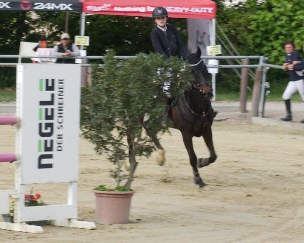Reitturnier Winnenden 2025