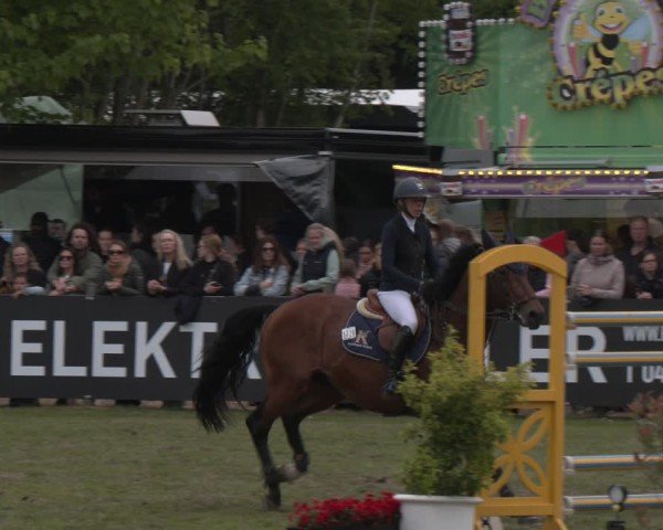 Reitturnier Bremen - Reitanlage Forkert 2025