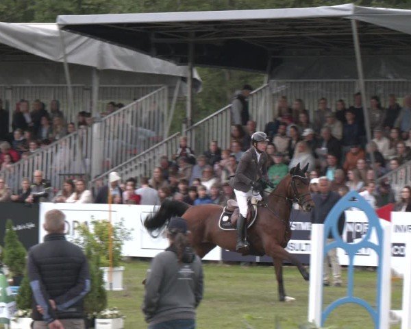 Reitturnier Bremen - Reitanlage Forkert 2025