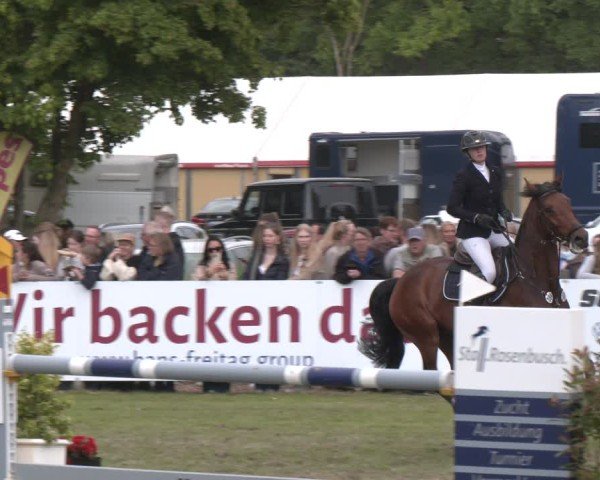 Reitturnier Bremen - Reitanlage Forkert 2025