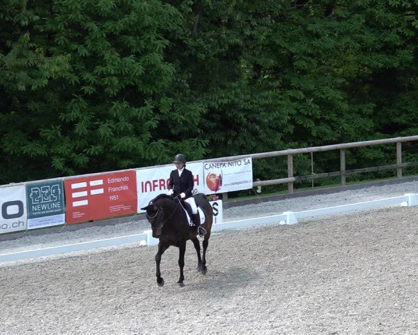 Reitturnier Cureglia 2025