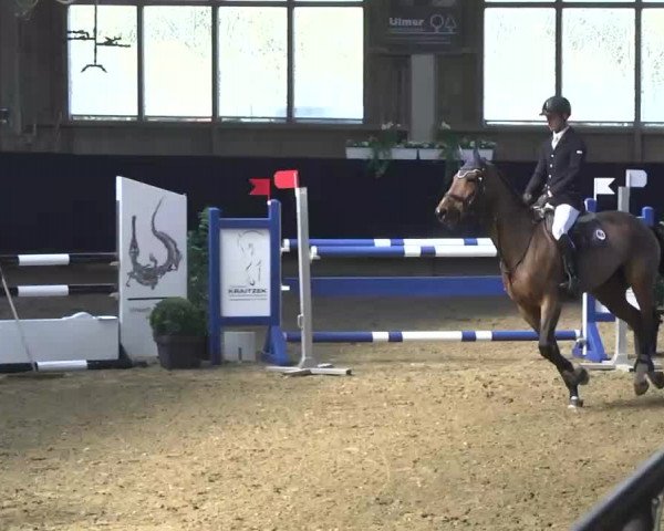 Hallenspringturnier Weilheim/Teck 2014