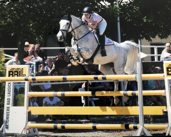 broodmare Total Touch 4 (KWPN (Royal Dutch Sporthorse), 2010, from Campbell VDL)