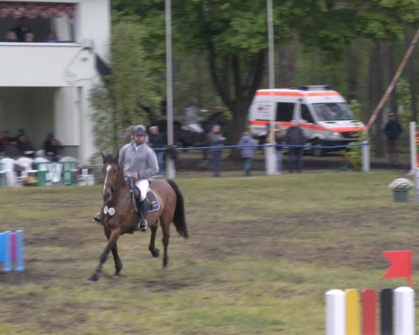 Reitturnier Massen 2025