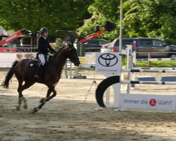 Reitturnier Winnenden 2025