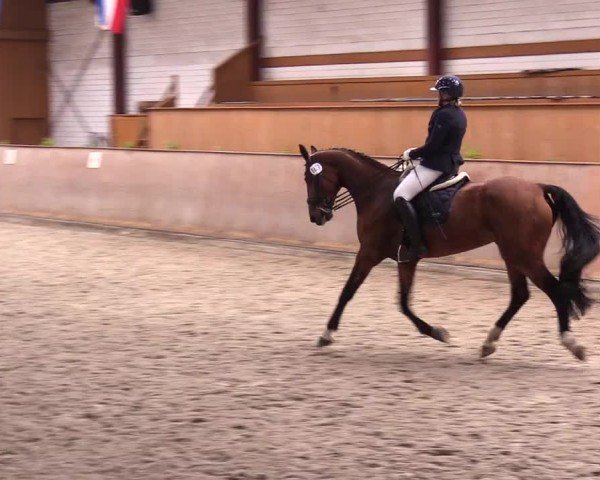 Reitturnier Risum-Lindholm 2025