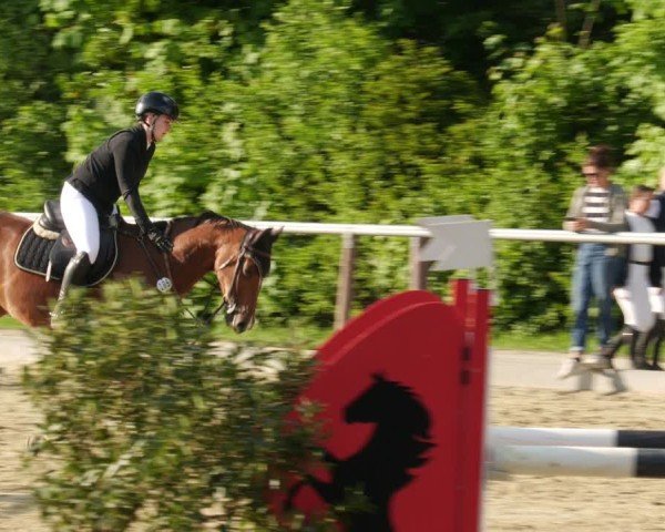 Reitturnier Winnenden 2025