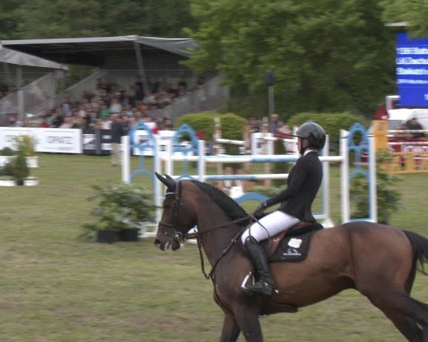 Reitturnier Bremen - Reitanlage Forkert 2025