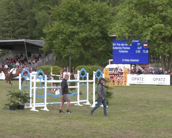 Reitturnier Bremen - Reitanlage Forkert 2025