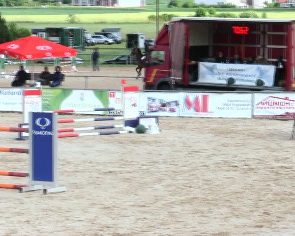 Reitturnier Mallersdorf-Pfaffenberg/Ndb. 2025
