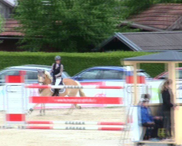 Reitturnier Mallersdorf-Pfaffenberg/Ndb. 2025